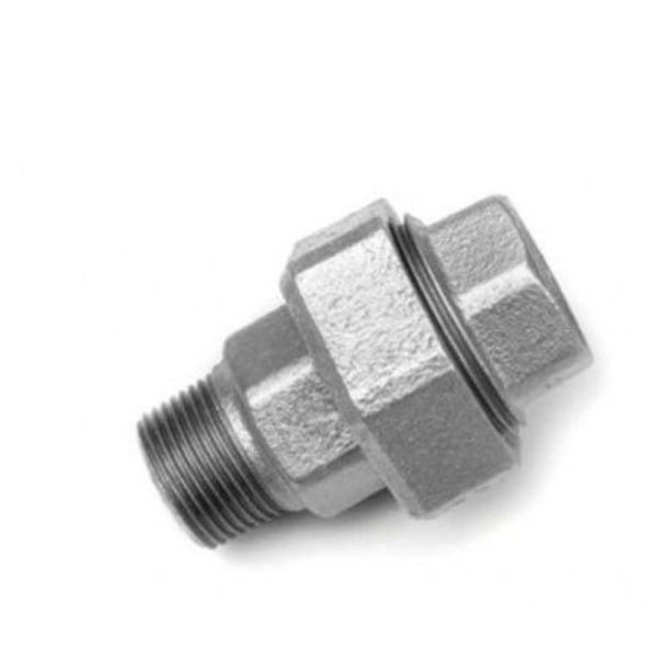 art.331 HOLENDER M/Ž 1'